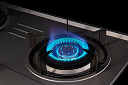 雙發(fā)燃?xì)庠罹S修電話(huà)